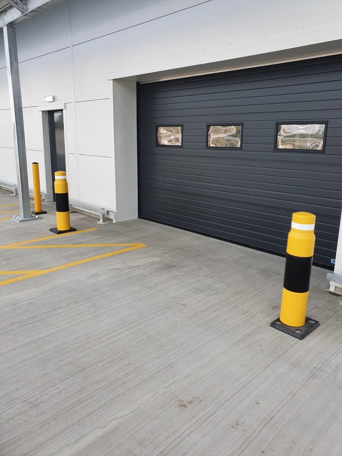 Amazon Chester 6.jpg